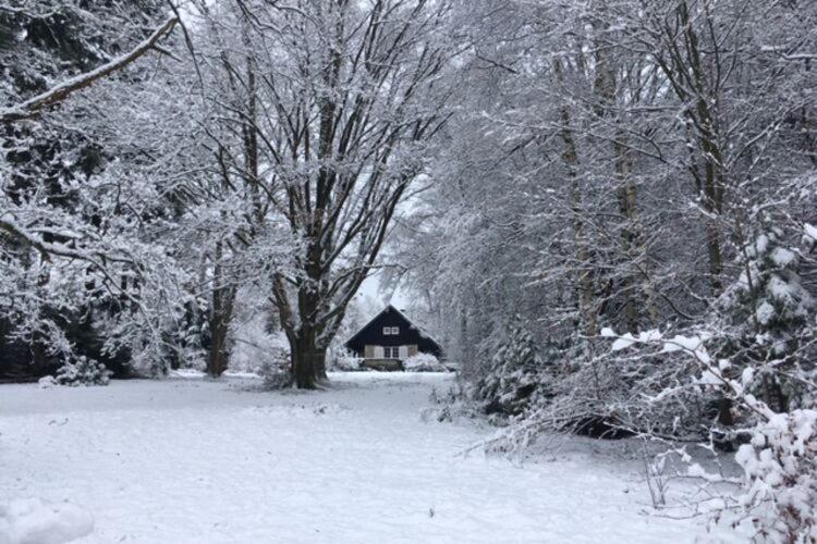 Quietly Located Country House In Vielsalm Exterior foto